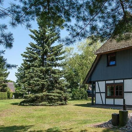 Haus Schilfkante - Wohnung 2 Wieck Bagian luar foto