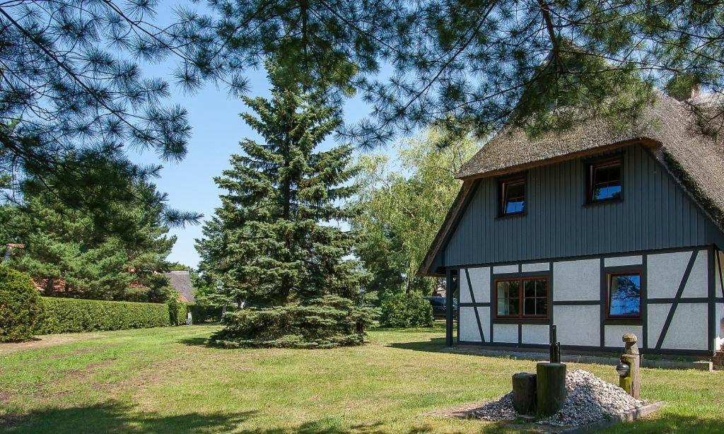 Haus Schilfkante - Wohnung 2 Wieck Bagian luar foto